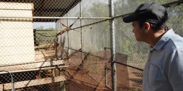 Quigley looks at monkey enclosure with a rescued primate.