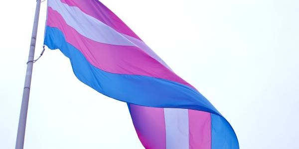 Trans Pride Flag