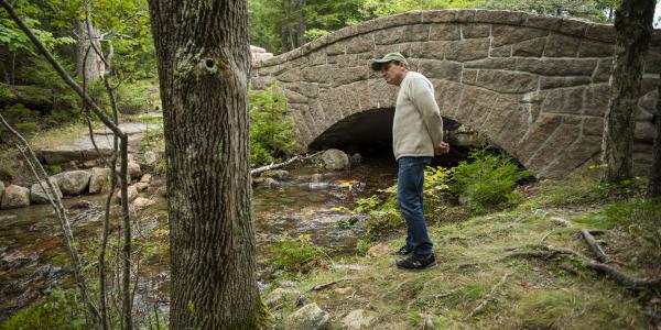 Congressman Mike Quigley stands in a forestscape looking down on a small creek, near a stone bridge