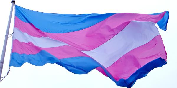 26241477411  cd3235f07f  o 