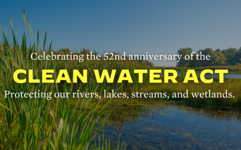 a photo of wetlands with text over it that says "celebrating the 52nd anniversary of the clean water act protecting our rivers, lakes, streams, and wetlands"