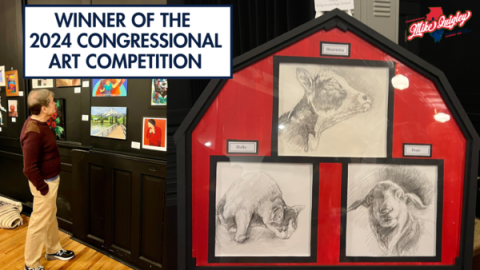 art competition