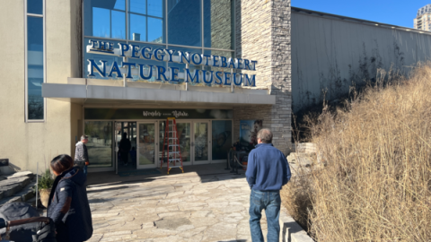 MQ outside Peggy Notebaert Nature Museum