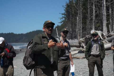 national park rangers walk along a rocky coastline, with large pine trees on one side and the ocean on the other