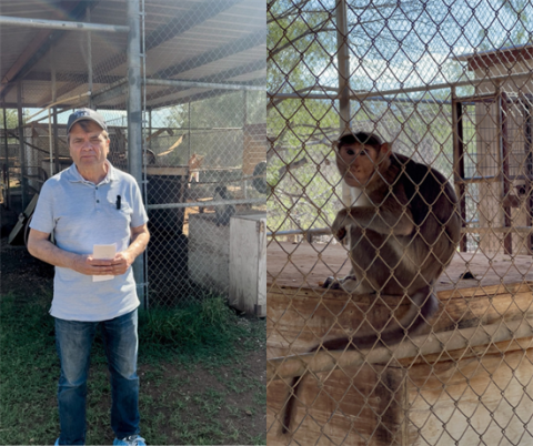 Rep. Quigley introduces the Captive Primate Safety Act