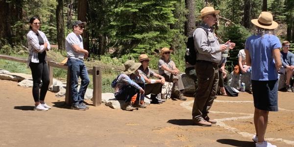 Rep. Mike Quigley is in the background near a wooden fence post, around him are other casually dressed members of Congress and uniformed National Park Service staff, They are standing on a dirt path in a grove of large, towering sequoia trees.