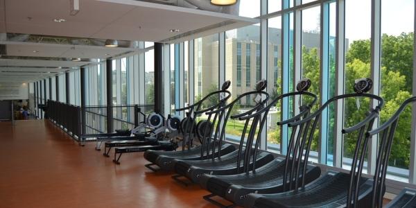 a row of five identical treadmills and three rowers face a wall of floor to ceiling windows inside a fitness center