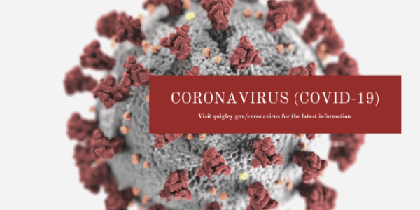 coronavirus (COVID  19) 