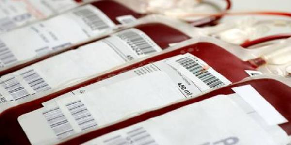FDA Blood Ban 