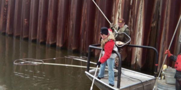 Asian Carp