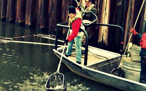 Rep. Quigley helped the Illinois Department of Natural Resources fish Asian carp from local waterways during one of his first Undercover Congressman jobs in 2009.